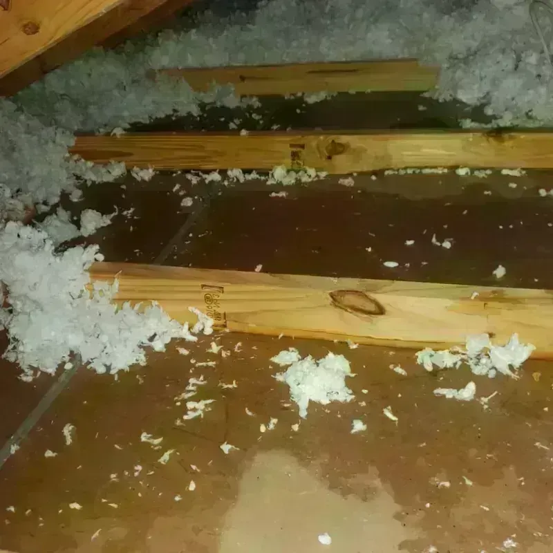 Attic Water Damage in Gladwin County, MI